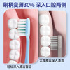 BRUSHING BEAR toothbrush soft-bristle wide-head gum protection triple hair transplant adult home decoration household men and women special 4 pack