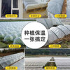 FANCYCHIC white transparent agricultural thickened small shed special film vegetable field insulation film winter 2.2 meters wide 5 wires thick agricultural film 30 meters long