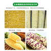 Kezhitu customized automatic fresh corn thresher, commercial tender corn thresher, raw cob thresher, fresh corn kernel separator, fresh corn thresher, intention gold