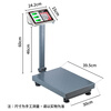 Baijie digital electronic platform scale folding pricing scale commercial platform scale folding scale 100KGTCS-100
