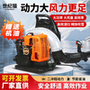 Century Cat backpack gasoline blower engineering road blower wind fire extinguisher high-horsepower snow blower road