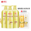 Bee Flower Conditioner Set Smooth and Nutritious Wheat Protein 1L*3+Ginger Hair Care 100mlx2