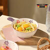 Oven-specific ceramic baking bowl household bowl with handle fruit salad bowl cartoon student dormitory single handle instant noodle bowl handle instant noodle bowl