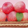 Shaanxi Yan'an Luochuan Red Fuji 10 catties packed apples fresh fruit crispy sweet seasonal fruits fresh with box 9-10 catties large fruit