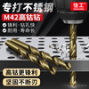 XinGong high cobalt twist drill bit stainless steel special hand drill drilling straight handle alloy drill bit M42 high hardness 0.45mm M35 cobalt 10 pieces