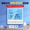 Wei Neng Thermostat Wall-hung Boiler Wireless Floor Heating WIFI Gas Wired Bosch Dr. Little Squirrel Forest Wall-hung Boiler - Wiring Type - Ordinary Type - Stand-alone Version - Weekly Timing