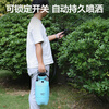 Deli manual air pressure sprayer 5L sterilization alcohol cleaning high-pressure large-capacity gardening watering car washing
