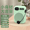 EARISE 606 new portable high-volume little bee amplifier anti-whistle teacher microphone with long battery life green