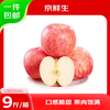 Jingxiansheng Shandong Yantai Red Fuji Apples 9 pounds, fruit diameter starting from 80mm, fresh fruit, direct shipping from the source, free shipping
