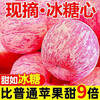 Shaanxi Yan'an Luochuan Red Fuji 10 catties packed apples fresh fruit crispy sweet seasonal fruits fresh with box 9-10 catties large fruit