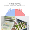 Nuoqishang frozen dumpling box food-grade special refrigerator quick-frozen storage box with one layer and one lid for household dumplings and wontons crisper PP regular style - transparent lid 210g 1 layer 1 box 1 lid