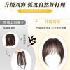 GECOMO air bangs wig for women, natural forehead, French fake bangs, seamless, thin and full bangs