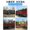Shanshuijian new energy sprinkler truck construction site electric three-wheel four-wheel mobile fog cannon machine greening garden road high-pressure water cannon standard 1.5 square meter sprinkler truck five-in-one