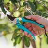 Zhang Xiaoquan pruning scissors, branch pruning, fruit tree flower shears, landscaping tools, twig shears, gardening scissors artifact, upgraded SK5 fine grinding mouth (gloves included)