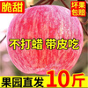 Shaanxi Yan'an Luochuan Red Fuji 10 catties packed apples fresh fruit crispy sweet seasonal fruits fresh with box 9-10 catties large fruit