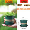 Flower pot plastic wholesale large balcony pothos small potted tray extra large gallon resin succulent pot + tray tall 2 gallon diameter 22cm 10 pieces