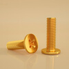 Bingneng carbon steel copper-plated gold CM thin head screw cross flat head screw large flat head screw M2M2.5M3M4M6 2*4* head 5 (100 pieces)