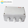 Explosion-proof junction box increased safety type 200*135 300*200 400*300 operation control box button junction box 200*200*90MM 2 6-point through-heads