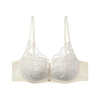 Embry 2025 New Product Starry Rose Comfort Cup Lace Bra Women's Small Breast Push-Up No Wire Bra Set Gardenia White CRM 75B L