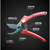 Japan imported pruning shears gardening shears garden tools scissors fruit tree shears thick branch shears ARS Alice pruning shears 120EU + shear set