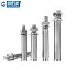 GUWANJI casing-reinforced expansion anchor, external expansion bolt, extended explosion screw, pipe blasting nail, 304 stainless steel M10x100 5 pcs/pack