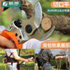 Initial conception (CHUGOUXIANG) Li Zaozhang electric thick branch shears gardening pruning shears labor-saving garden fruit tree branch scissors lithium battery charging DJ30S