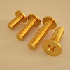 Bingneng carbon steel copper-plated gold CM thin head screw cross flat head screw large flat head screw M2M2.5M3M4M6 2*4* head 5 (100 pieces)