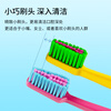 Tepe Sweden imported soft-bristle toothbrush fun color 1 pack for adults with small heads and slender men and women couples home color random