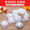Bingyu BYT-339 school kindergarten food sample box pp fresh-keeping equipment single box 250ml (pack of 10)