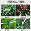 Arrizo gardening scissors, special scissors for pruning branches, pruning flowers, pruning branches, flower shears, greening scissors, pruning shears + pruning shears, straight-blade hedge shears (SK5 head)