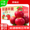 Jingdida Yunnan Zhaotong Ugly Apple Net Weight 5 Jin Single Fruit 75mm + Fresh Crisp Apple Fruit Direct Shipping from the Source