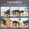 Yue Changsheng Huan'er ROS robot Raspberry Pi four-legged mechanical dog AI vision large model bionic programmable slam mapping standard version Raspberry Pi 4B/4G