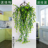 Time Bird Simulation Wall Plant Vine Rose Chlorophytum Plastic Decoration Wall Hanging Rattan Living Room Indoor Hanging Basket Fake Flower 1 Bundle with Buds Rose Vine White Green + Sticky Hook