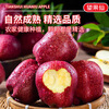 Jingdida Gansu Tianshui Huaniu Apple Fruit Gift Box Holiday Gift 12 Pieces Net Weight 7 Jin Single Fruit 250g + Free Shipping from Source