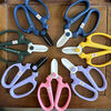 Banyuan scissors, flower scissors, gardening shears, florists, florists, shop tools, flower scissors, Banyuan flower scissors, navy black blades, free gardening hands