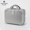 Sheraton (SHERIDAN) business travel trolley case, multi-purpose luggage, boarding code box, 20-inch + 14-inch combo trolley case, silver SHX807