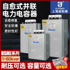 Shanghai Viscon compensation parallel power capacitor 0.45-20-3 30-3 40 50 15Kvar SH Viscon BSMJ0.525-60-3