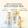 Pantene Lin Gaoyuan Exclusive Pantene Freesia Shampoo 300g*2+Conditioner 180ml*2+Essential Oil 90ml