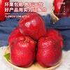 Jingdida Gansu Tianshui Huaniu Apple Fruit Gift Box Holiday Gift 12 Pieces Net Weight 7 Jin Single Fruit 250g + Free Shipping from Source