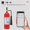 YUANBANG 25 new national standard portable carbon dioxide fire extinguisher 3KG fire equipment gas machine room precision instrument commercial MT/BE3