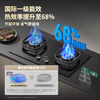 Vantage Bilateral Timing + Nanotechnology Panel Household Gas Stove Natural Gas Embedded 5.2kW Fierce Fire Gas Stove Double Stove Stove i10306D