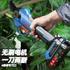 Dongcheng Electric Scissors Fruit Tree Pruning Shears Handheld Rechargeable Garden Scissors 20V Lithium Electric Scissors 3.5CM Thick Branch Shears Electric Scissors DCYD3.5 1 Battery 2.0Ah Free Accessories + Blade