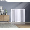 European warm radiator steel 60 round radiator large water channel wall-mounted heating supports customized colors 600mm*1 column