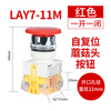 Delixi LAY7-11BN 11X/2 20X/3 11ZS 11D 11M button knob emergency stop reset switch LAY7-11M_Red