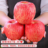 Jingdida Yantai Apple Fruit Red Fuji Apple Net Weight 5 Jin Single Fruit 80mm + New Year's Fruit Direct Shipping from the Source