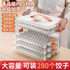 PISSA2024 dumpling wonton box household food-grade kitchen refrigerator storage box fresh-keeping quick-freezing artifact green two-layer portable can hold 160 dumplings default