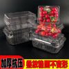 Disposable fruit box rectangular packaging transparent fruit and vegetable preservation plastic strawberry packaging with lid two kilogram box 1000 boxes size see picture 100 sets box packaging