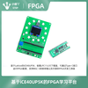 Yue Changsheng iCE40UP5K FPGA learning board RISC-V transplantation compatible with Raspberry Pi PICO HDL programming baseboard not included