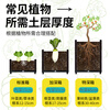 Huiyi special vegetable growing box planting box family balcony vegetable growing pot artifact roof rectangular plastic outdoor flower box single layer 2 combined box 74*37*21cm