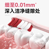 Yang Elf Folding Toothbrush Soft-bristled Travel Portable Adult Ladies Travel Home Wash Mini Toothbrush-Rose Red